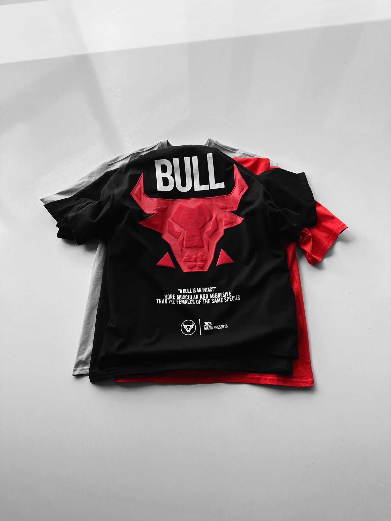 T-shirt Surdimensionné Kleidermafia Bull Worldwide - Unisexe, Coton épais | Coupe Streetwear Ample