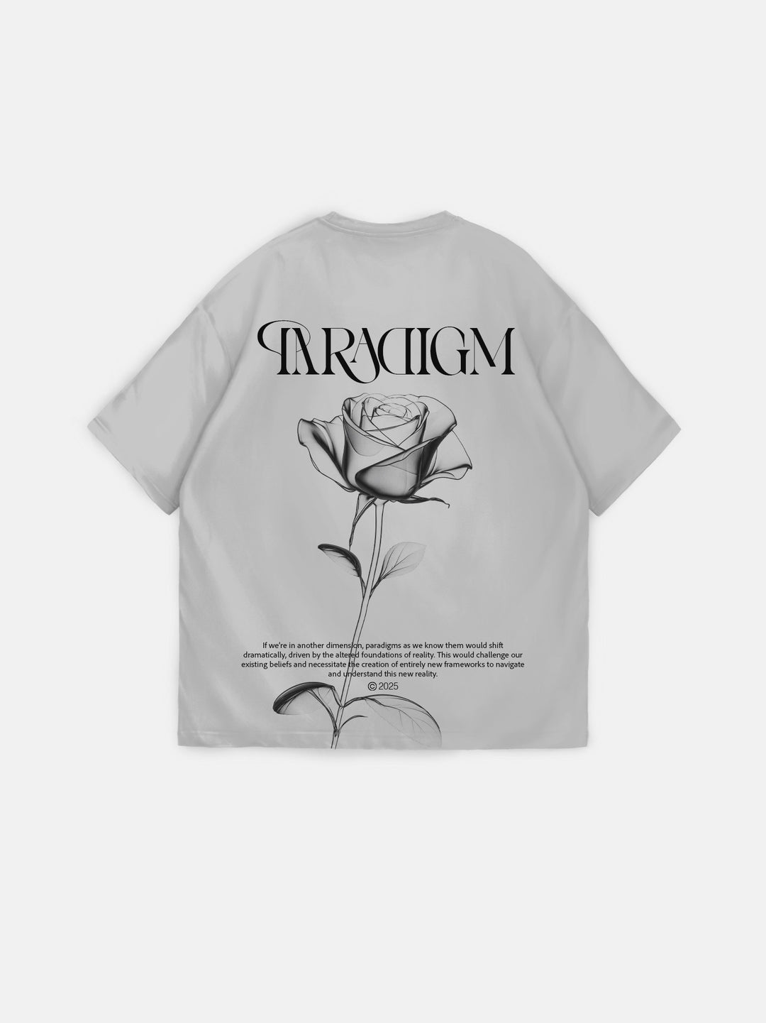 Oversize Paradigm T-Shirt - Grey