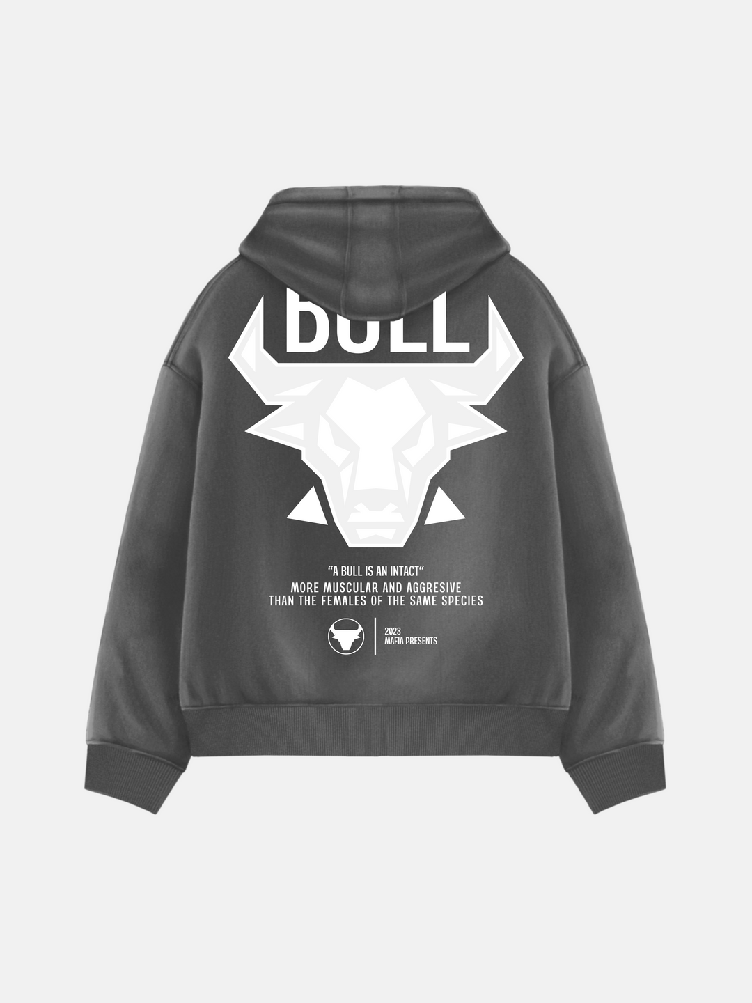 Oversize Bull Hoodie - Anthracite