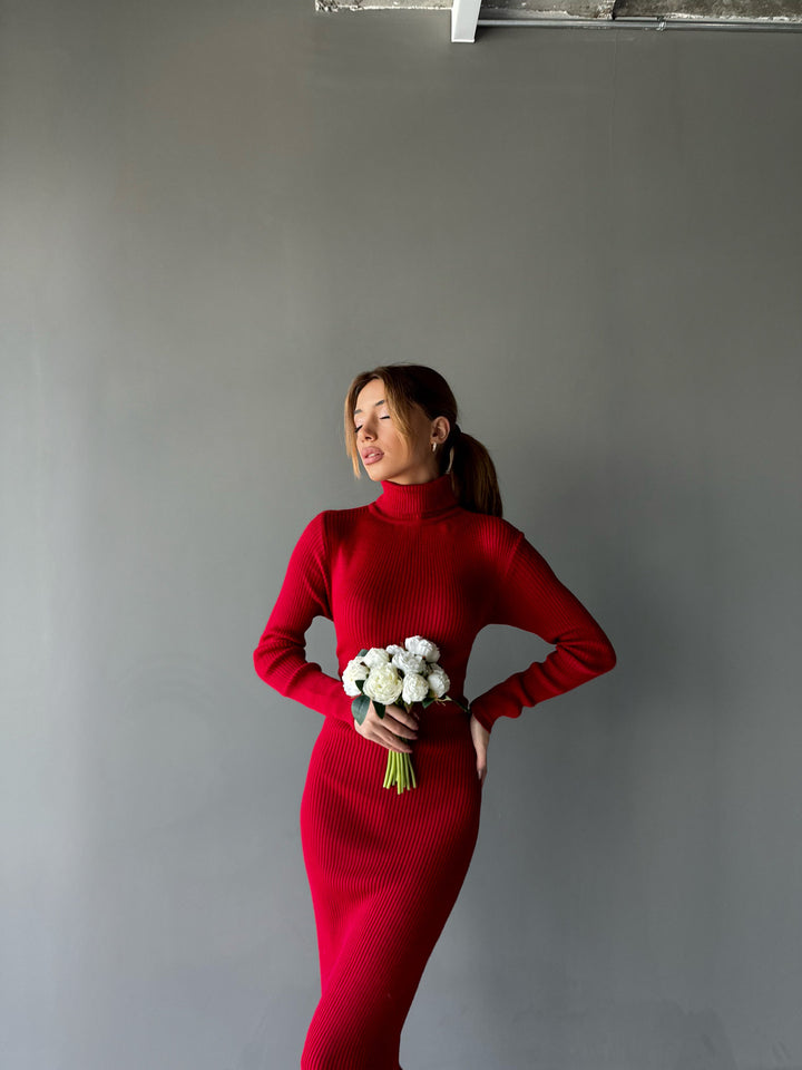 High Neck Knit Dress - Red