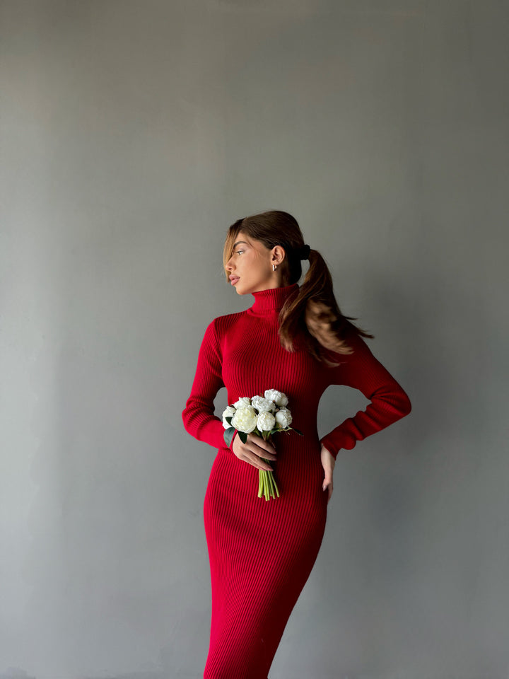 High Neck Knit Dress - Red