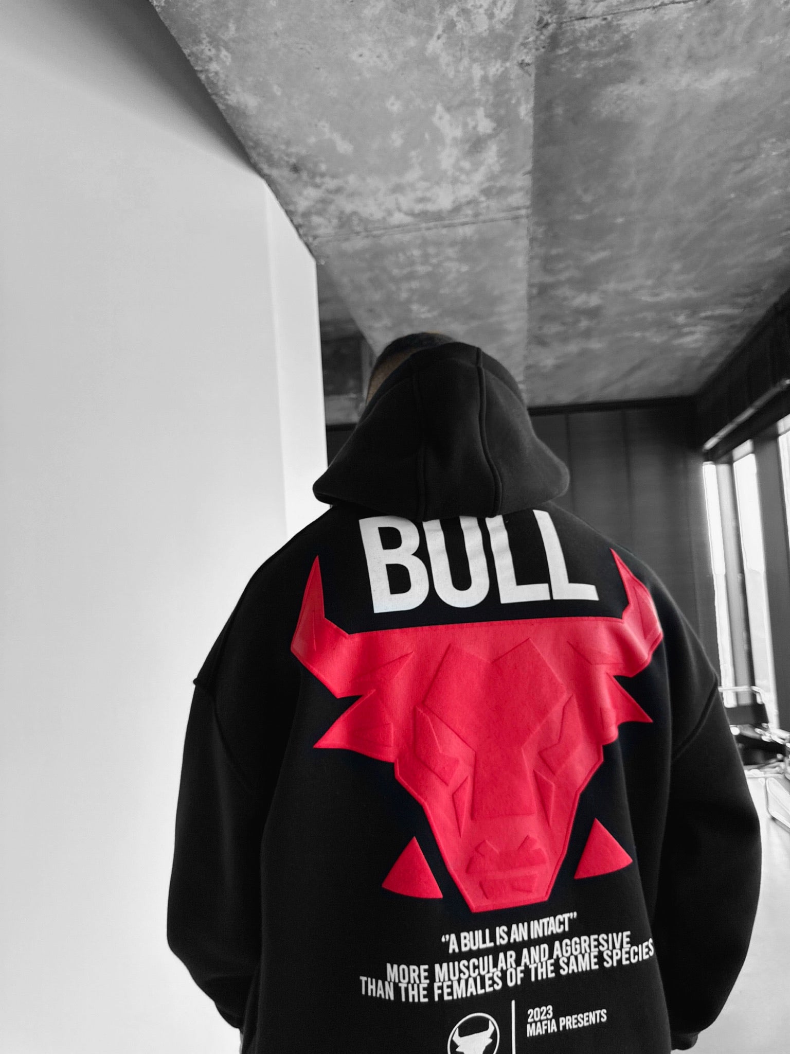 Chicago Bulls NBA Starter Black Red Body Check Pull India | Ubuy