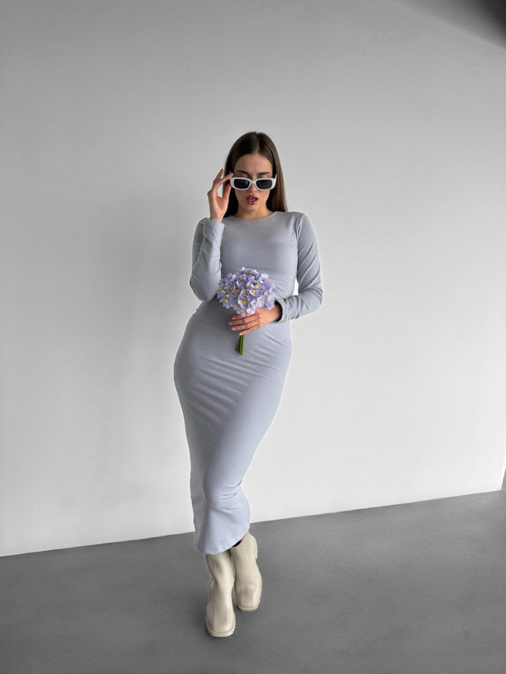 Long Arm Maxi Dress - Grey