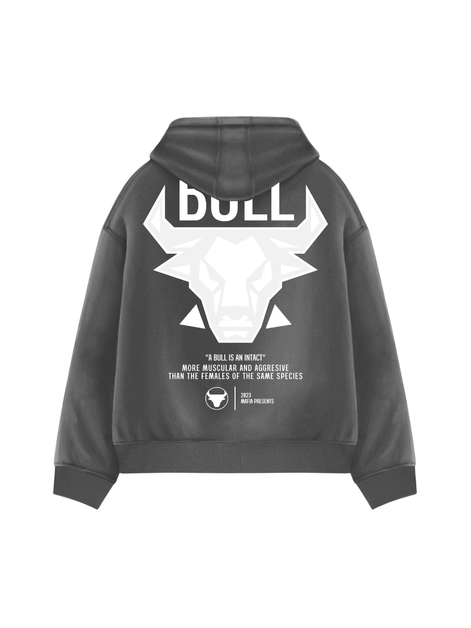 Oversize Bull Hoodie - Anthracite